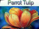 Acrylic Painting Techniques - How to Paint Flowers - Parrot Tulip