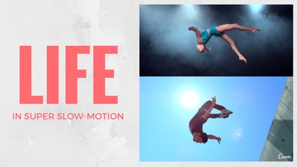 A brilliant look at life in super slow-motion