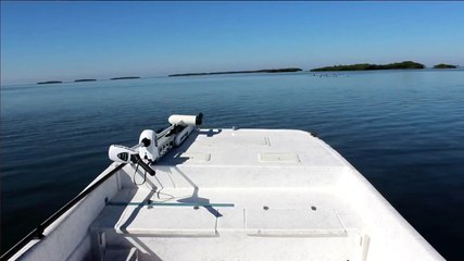 Travel Track On Sirk TV: Captain Don Chancey Of Flats Chance [Homasassa Springs, FL]
