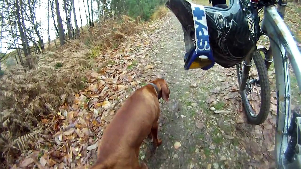 Downhill mountain biking at The Lookout (Swinley Forest) - GoPro HD