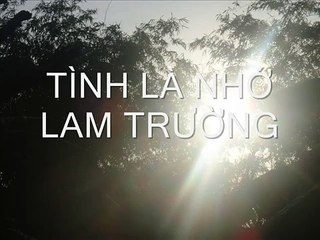 Tình Là Nhớ - Lam Trường