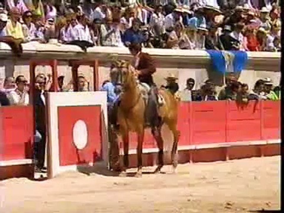 Orphéo (Merlin) - A Fantastic Horse-Evanescence