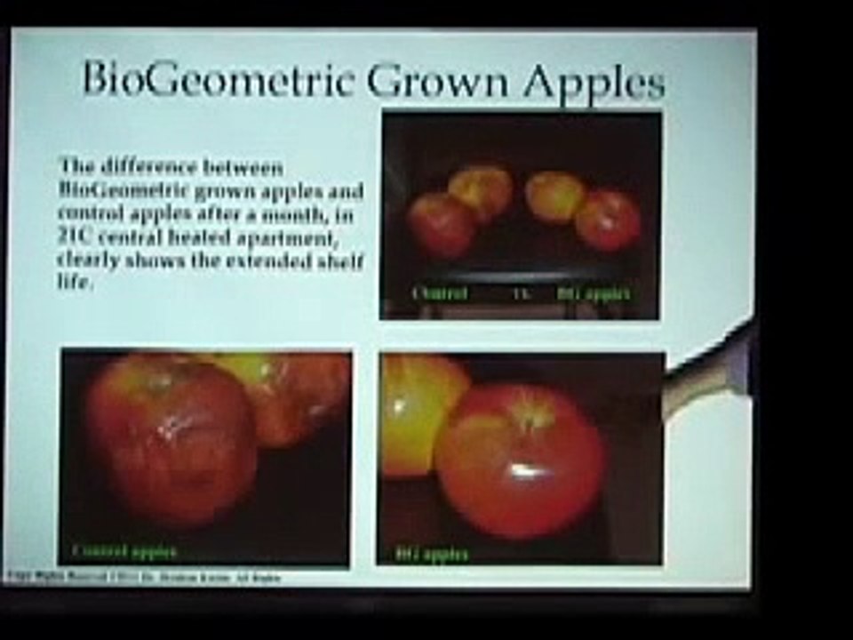 Ibrahim Karim - Egyptian Energy Science - BioGeometry Training Overview (9 of 9).mp4