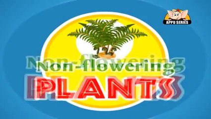Learn about Plants in Hindi - Pteridophytes