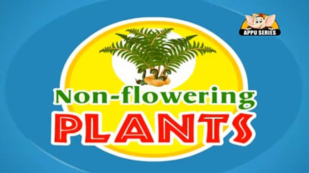 Learn about Plants in Hindi - Gymnosperms