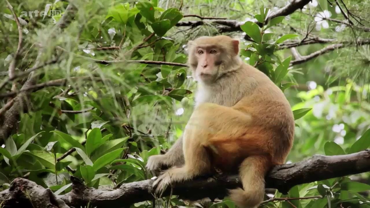 Les merveilles de la nature - La baie d'Halong