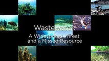 Two Minutes on Oceans with Jim Toomey: Wastewater