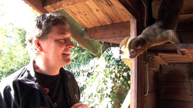 Stichting AAP - Ophalen rolstaartbeer Frantz