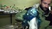 В Севастопольской бухте выловили ядовитую рыбу фугу (новости) http://9kommentariev.ru/