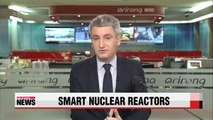 Korea develops safer, mid-size nuclear reactor to sell overseas