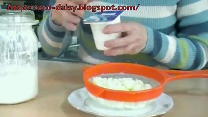 Kefir de leche (Búlgaros, pajaritos) Cómo se prepara. DIY Chilean kefir yogurt recipe.