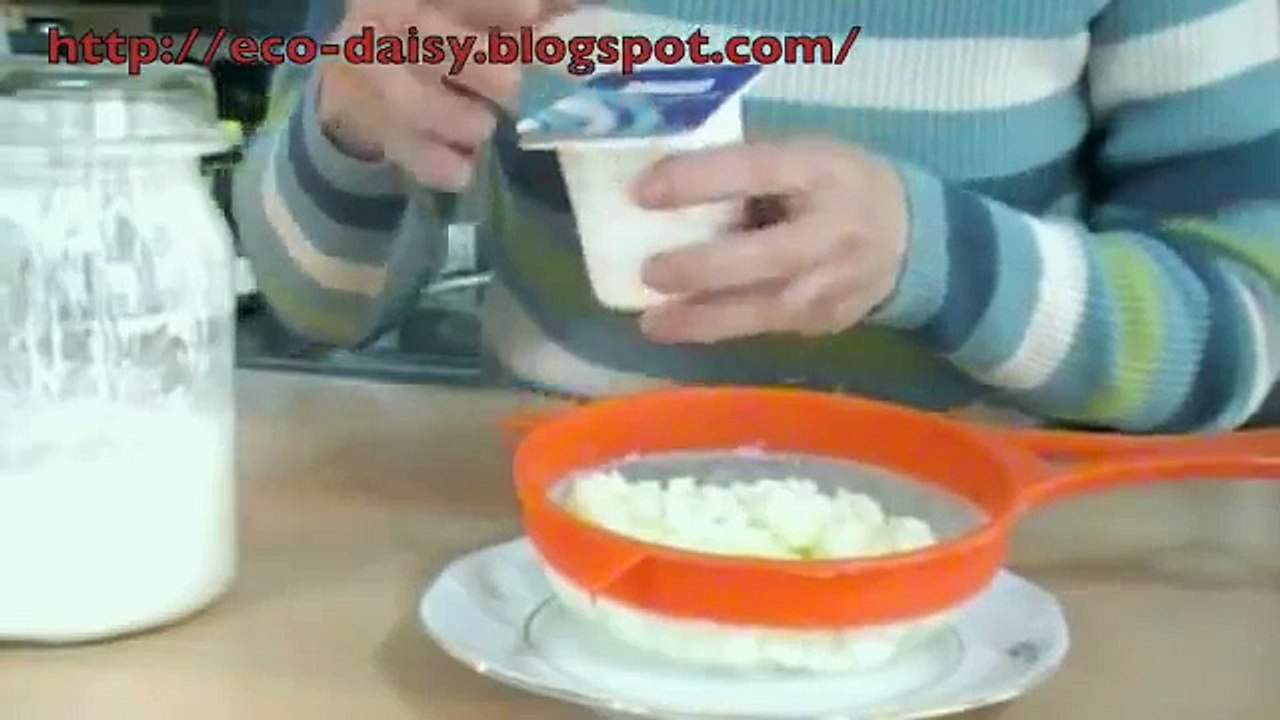 Kefir de leche (Búlgaros, pajaritos) Cómo se prepara. DIY Chilean kefir yogurt recipe.