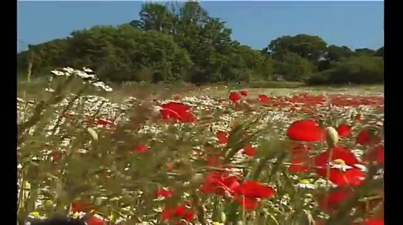 Rügen, Paradies in der Ostsee