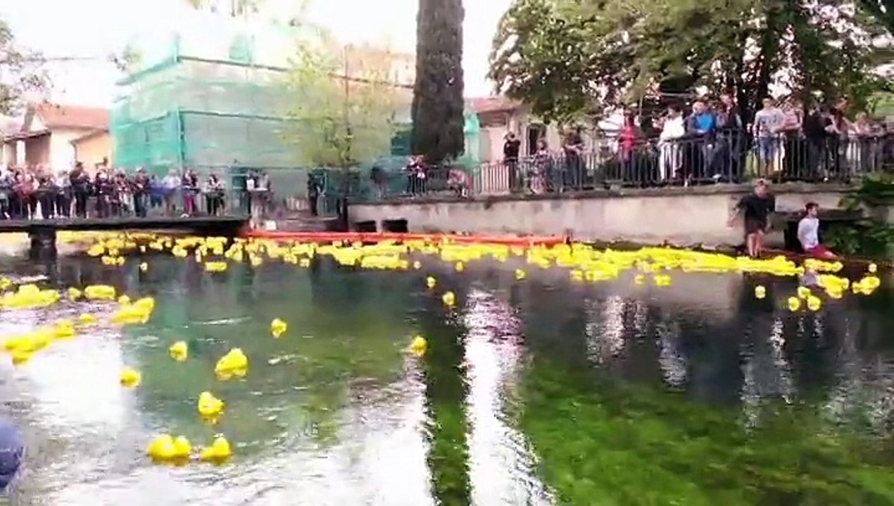 Duck race à l'Isle sur la Sorgue