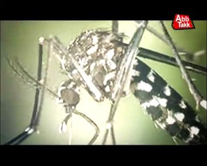 Abb Takk - Package - Malaria Day - 25-04-2015