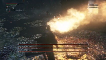 Bloodborne Shadow of Yharnam