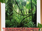 Vibrant Tropical Rainforest 10' x 10' CP Backdrop Computer Printed Scenic Background GladsBuy