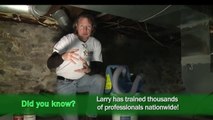Killing Mold in a Crawl Space, Basement or Attic