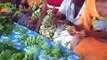 Moringa Project in Ghana: WOMEN FARMERS PROCESSING MORINGA
