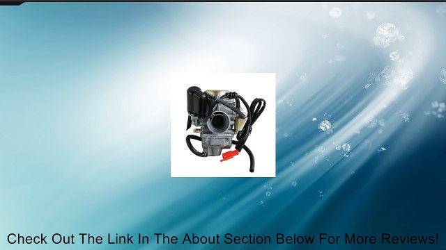 24mm Carburetor Carb For Honda GY6 125 CC ATV 125 PD24J Scooter Go Kart Wildfire Review