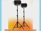 ePhoto 2 x 500 LED Video Panel Photography Video Light Panel with 2 Light Stand Lighting Kit