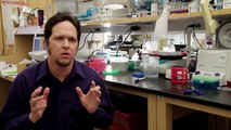 Mark Frey, PhD, Assistant Professor, Developmental Biology and Regenerative Medicine