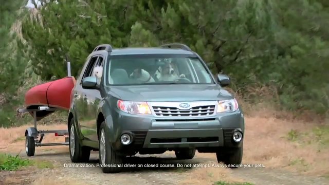Camping Subaru Dog Style Dog Tested Dog Approved Commercial