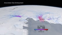 West Antarctic Glacier Ice Flows and Elevation Change