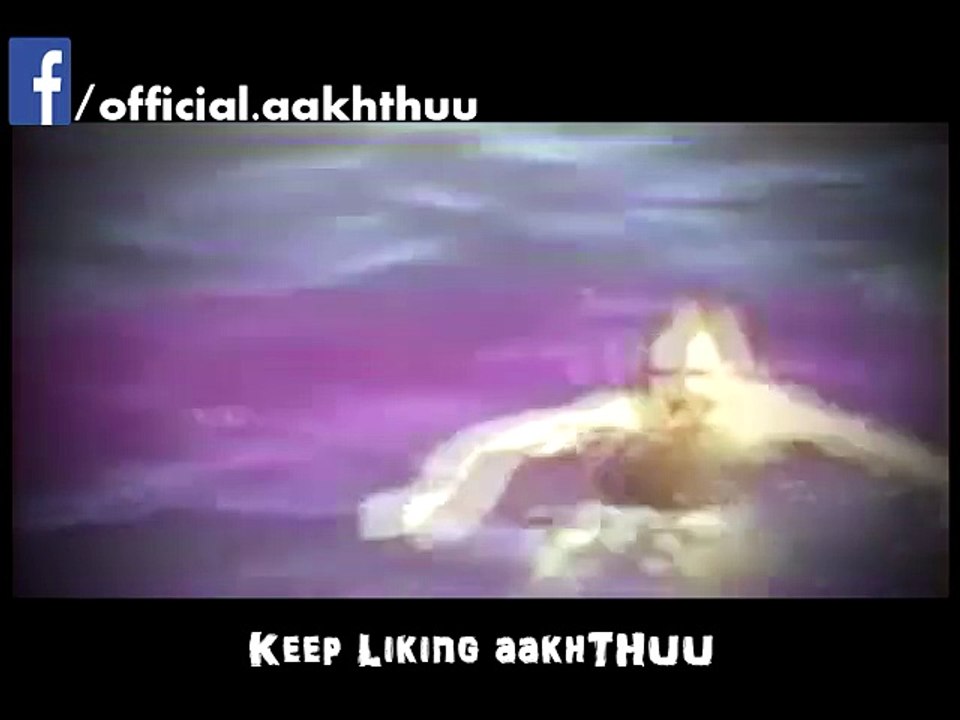 Shark Attacked Humans