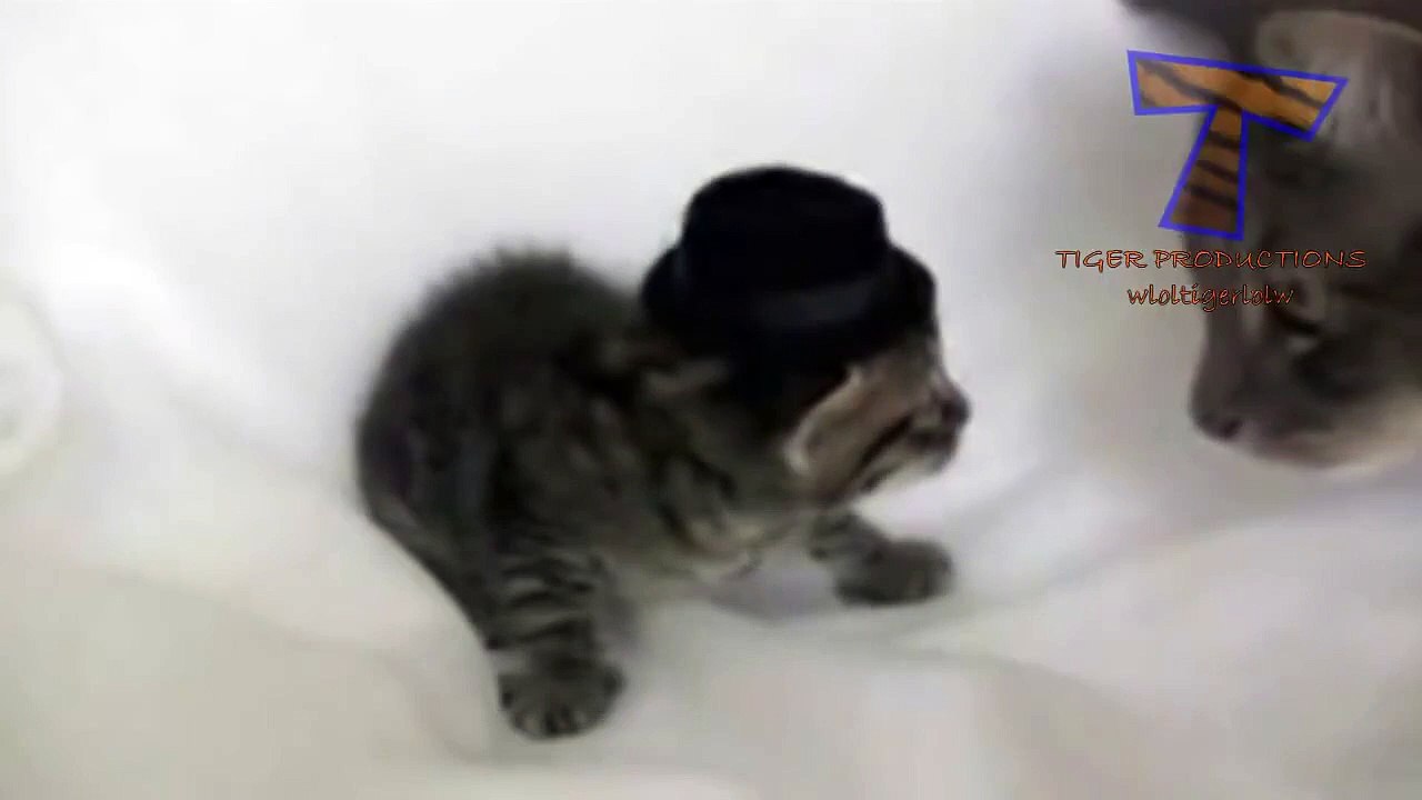 chat violent