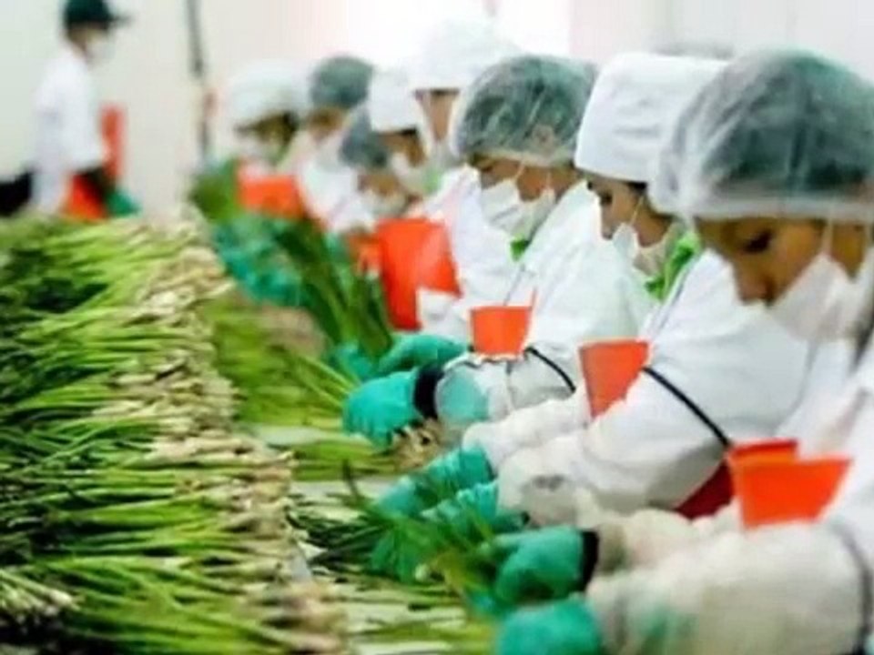 Modelo Conceptual de Desarrollo de Latinoamérica
