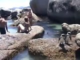 African Penguins, Boulders Beach, Cape Town - South Africa