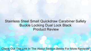Stainless Steel Small Quickdraw Carabiner Safety Buckle Locking Dual Lock Black Review