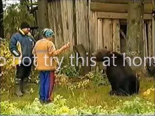 Bear Attack: Do Not Hand Feed a Bear