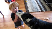 Mishka the Husky Sings with Toddler!