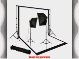 ePhoto 2000 Watt Digital Video Continuous Lighting Kit Light SET with Carrying Case - 2 light