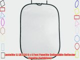 Lastolite LL LR7228 6 x 4 Feet Panelite Collapsible Reflector (Sunlite/SoftSilver)