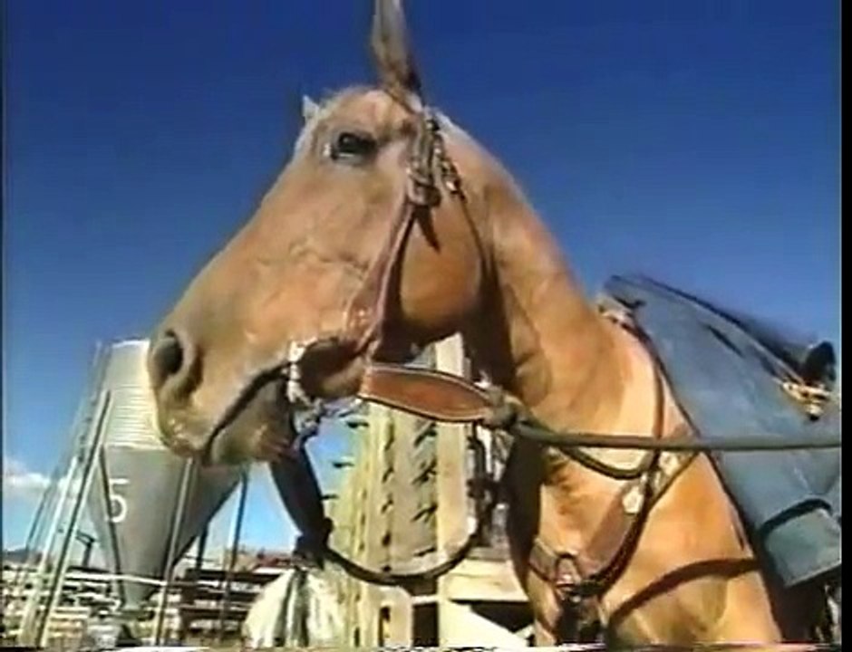 Ranches for Sale Lima Peaks Ranch in Dillon Montana video Dailymotion