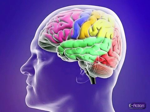 Classification of Epileptic Seizures