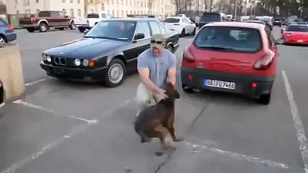 OHAA...8 Ay Sonra Sahibine Kavuşan Köpeğin Mutluluğu..