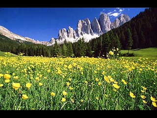 Frei.Wild - Südtirol: Rock mit Heimatgefühl 🎸