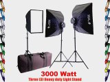 CowboyStudio 3000 Watt Photography and Digital Video Continuous Lighting Light Kit with Carrying