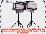 Limostudio Photography Photo Video Studio 3300W Digital Light Fluorescent 6-Bank Barndoor Light