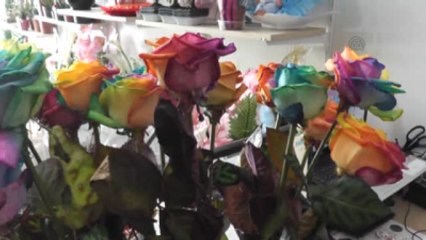 Güller Gökkuşağı Açtı