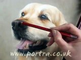 Speed Painting - Dog in Pastels - Golden Retriever