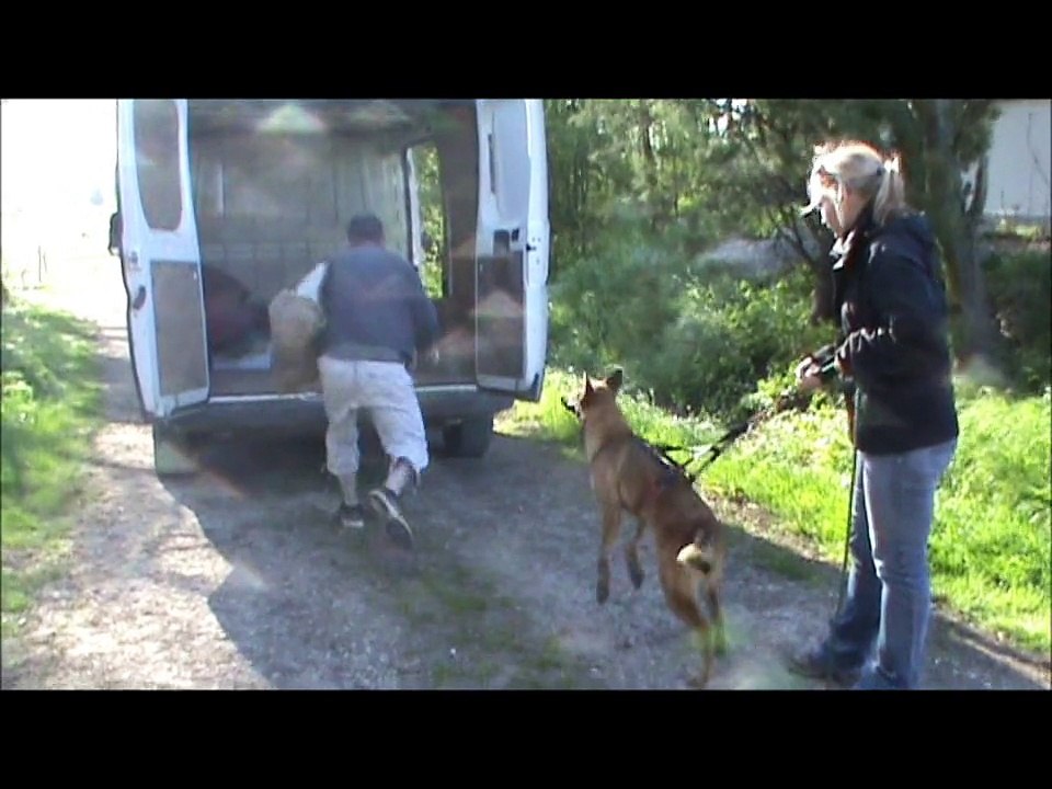 chienne gardiennage bis
