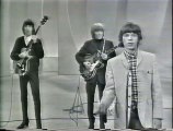Rolling Stones - Little red rooster  (1965)