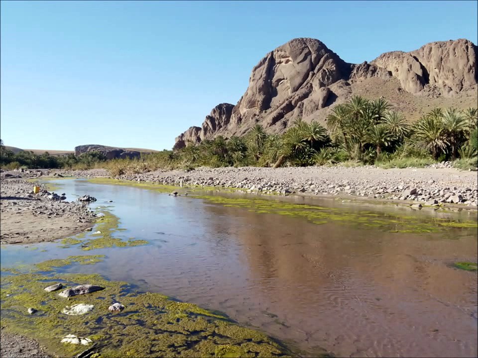 oasis de fint