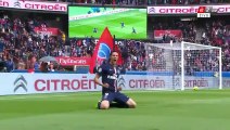 Edinson Cavani 2_0 _ PSG - Lille 25.04.2015 HD