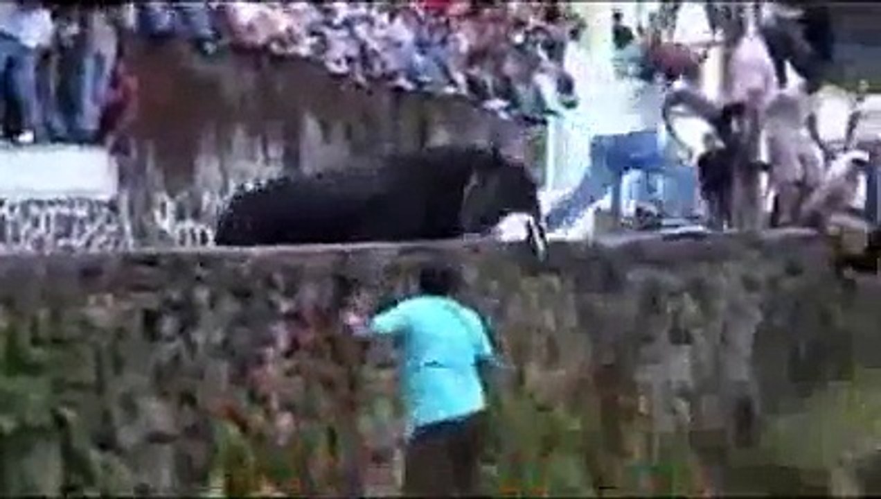 toros divertidos 2015
